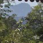 Kandy Okaya
