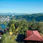 Green City View