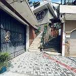 D Lion Studio