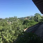 Birds Hill Homestay