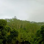 Little Nest Hanthana