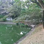 Lake Terrace