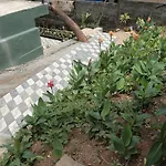 Miracle Villa