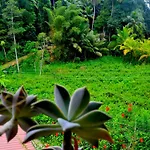 Danielsen Rest Holiday Resort Kandy