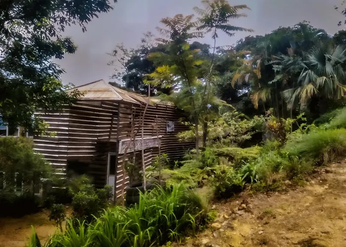 Jungle Tree House Rangala