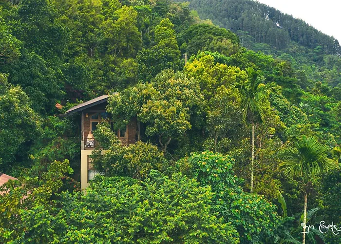 New Villa - Nugaliyadda