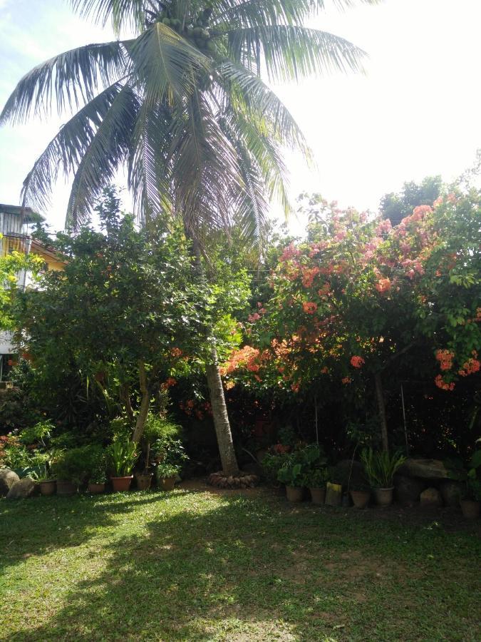 Homestay Hill *