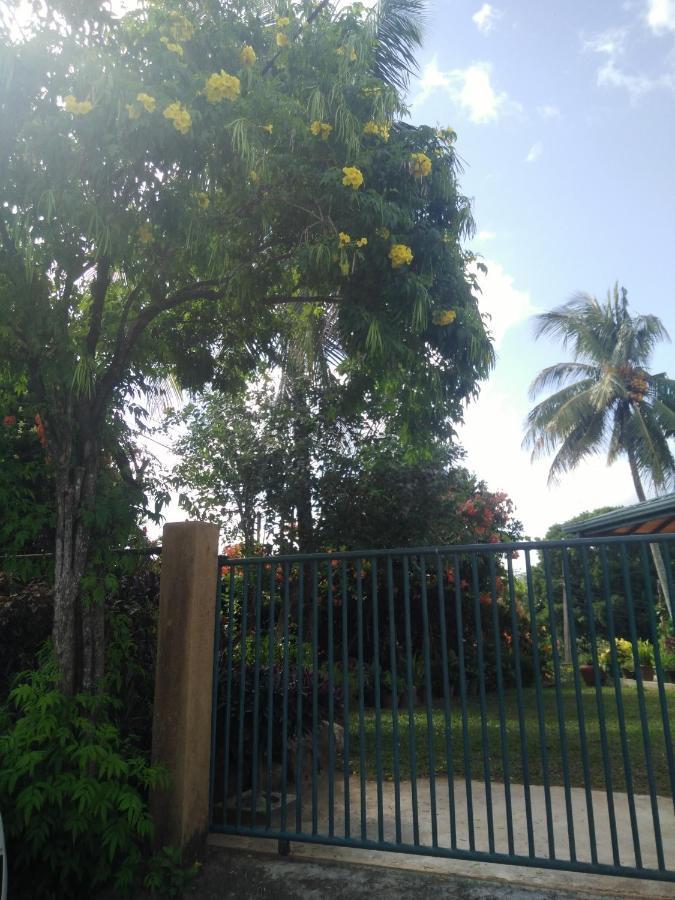 Homestay Hill