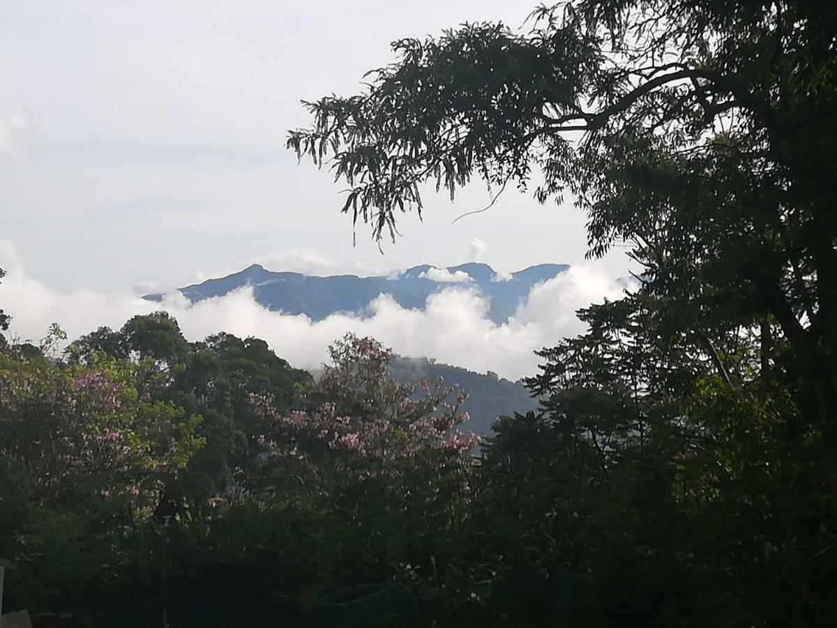 Jungle Tide 3* Kandy