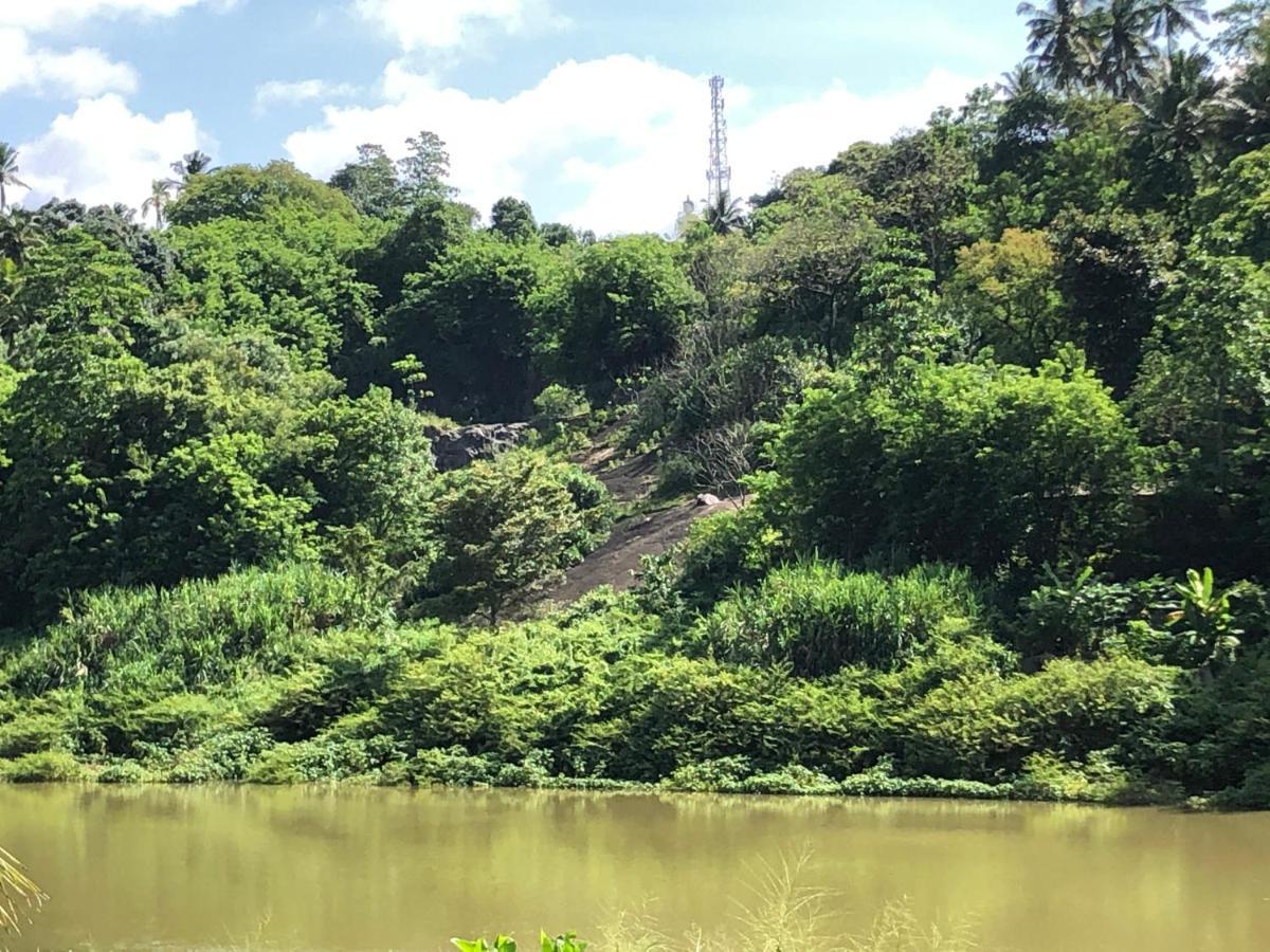 Resort Rivers Edge Nature
