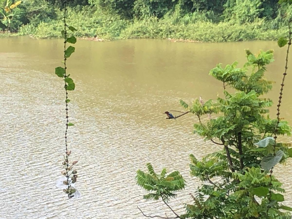 Resort Rivers Edge Nature Kandy