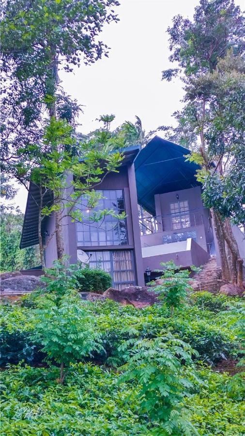 Lodge Dream *