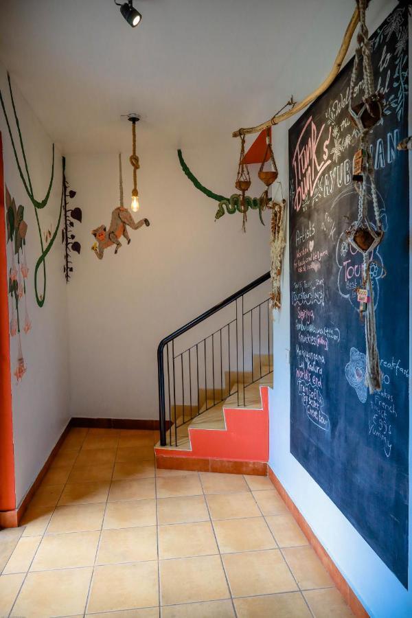 Funk Bunk - Mount View Hostel