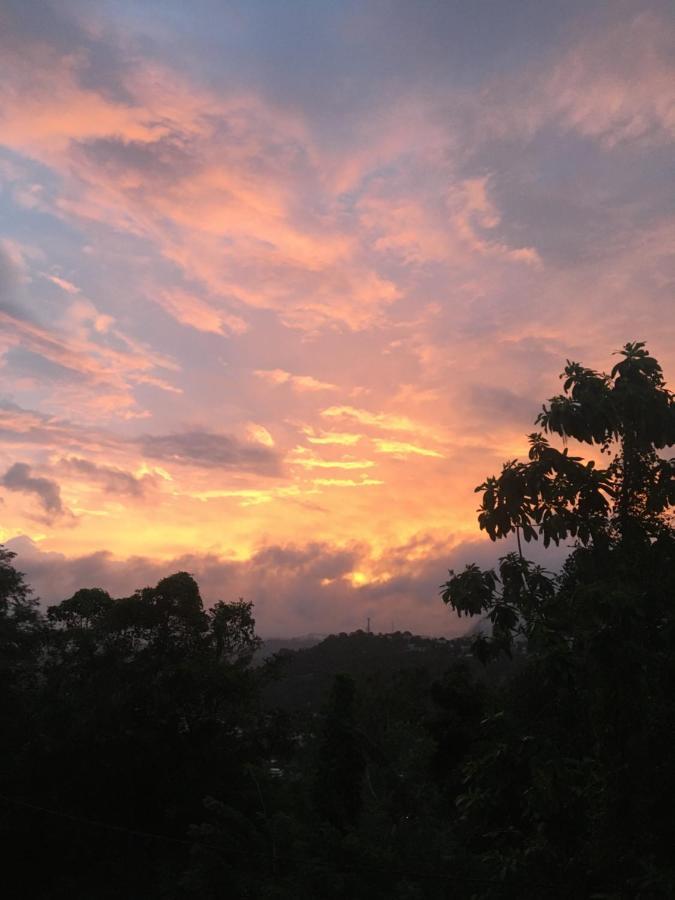 Hill Guest house