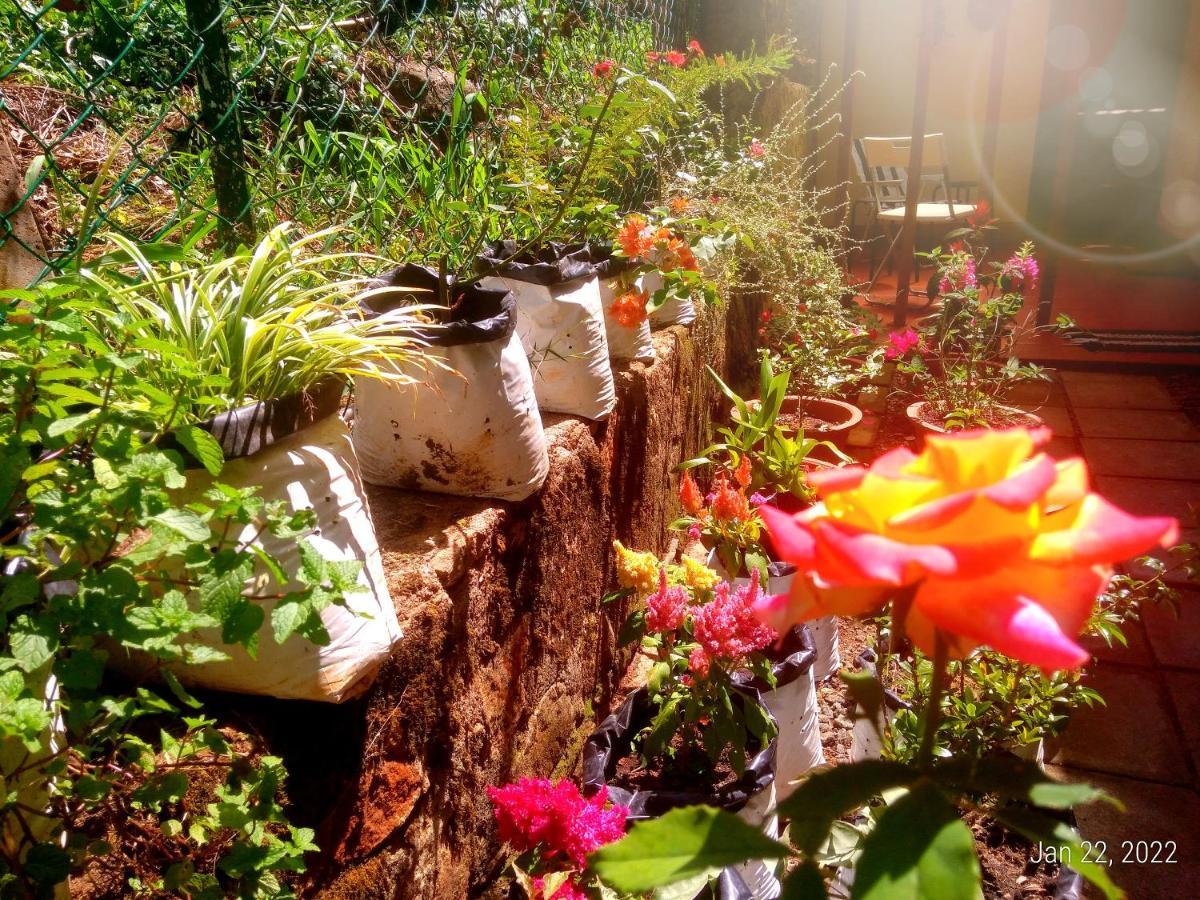 Bird Wood Homestay Kandy