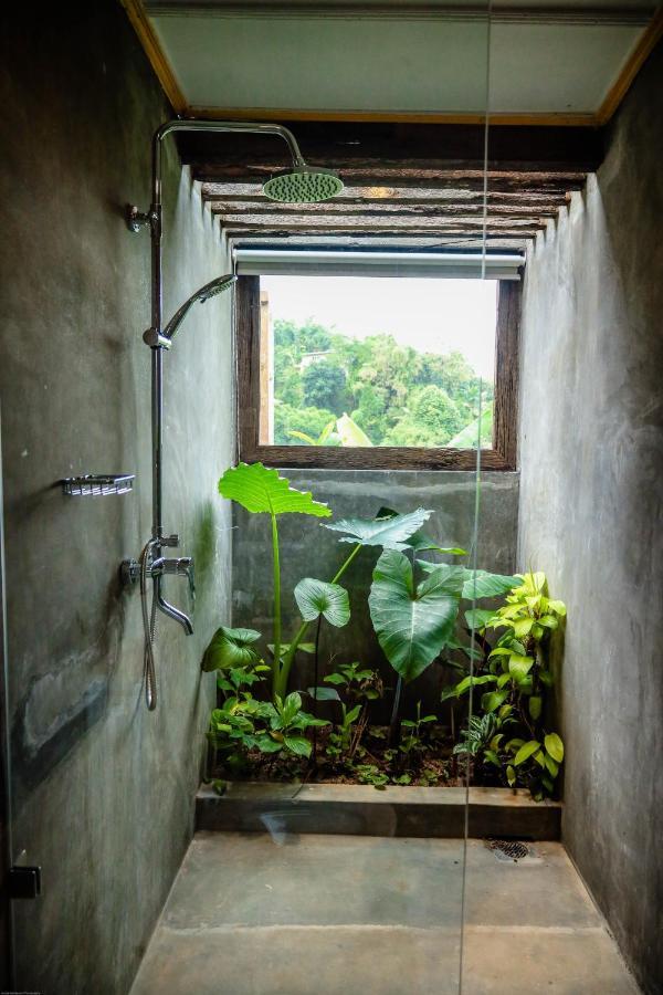 Banana Bunks Hostel Kandy