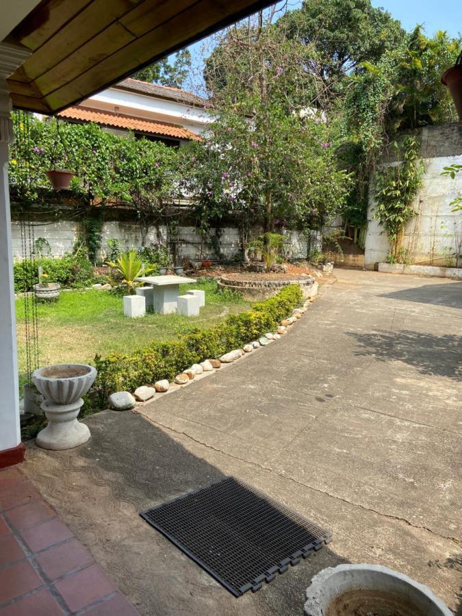 Garden *