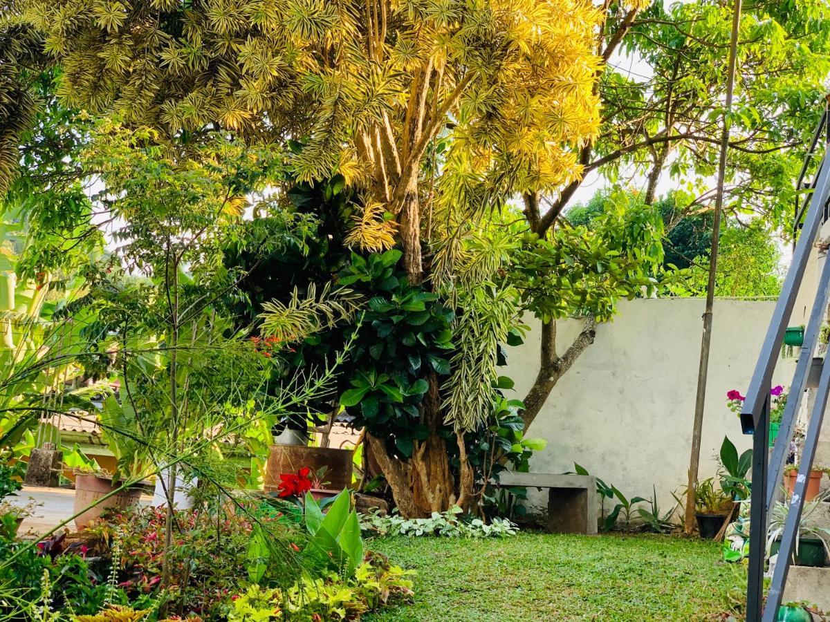 Guest house Heaven Breeze 3*