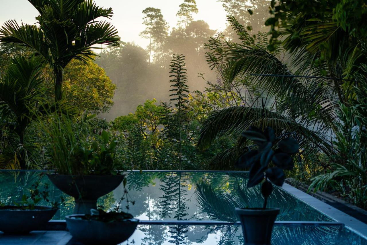 Tea Heights * Kandy