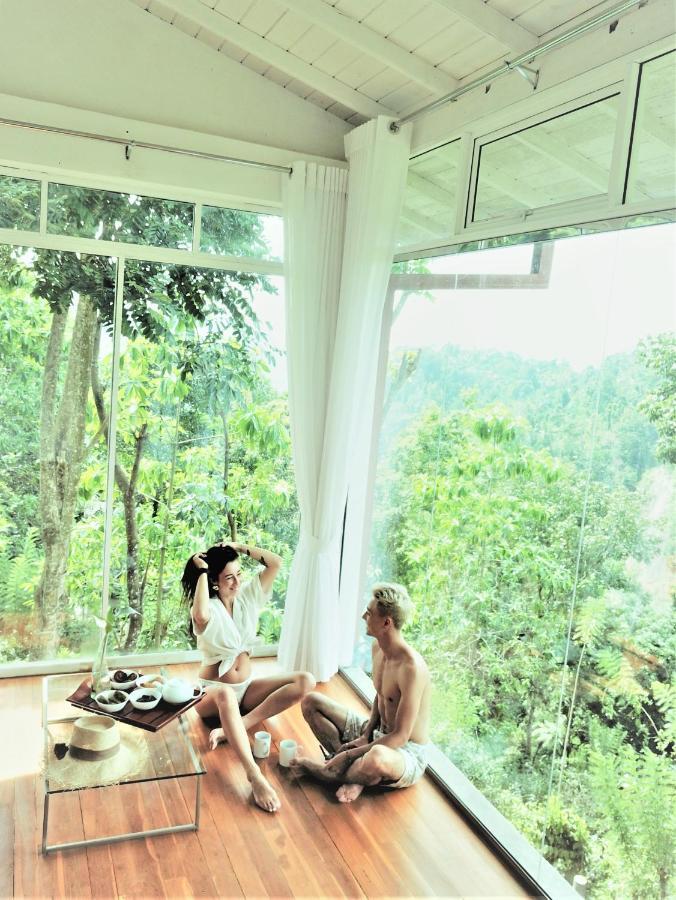 Tea Heights