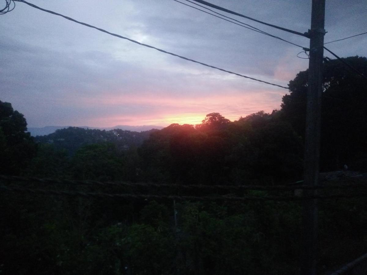 Hill Homestay