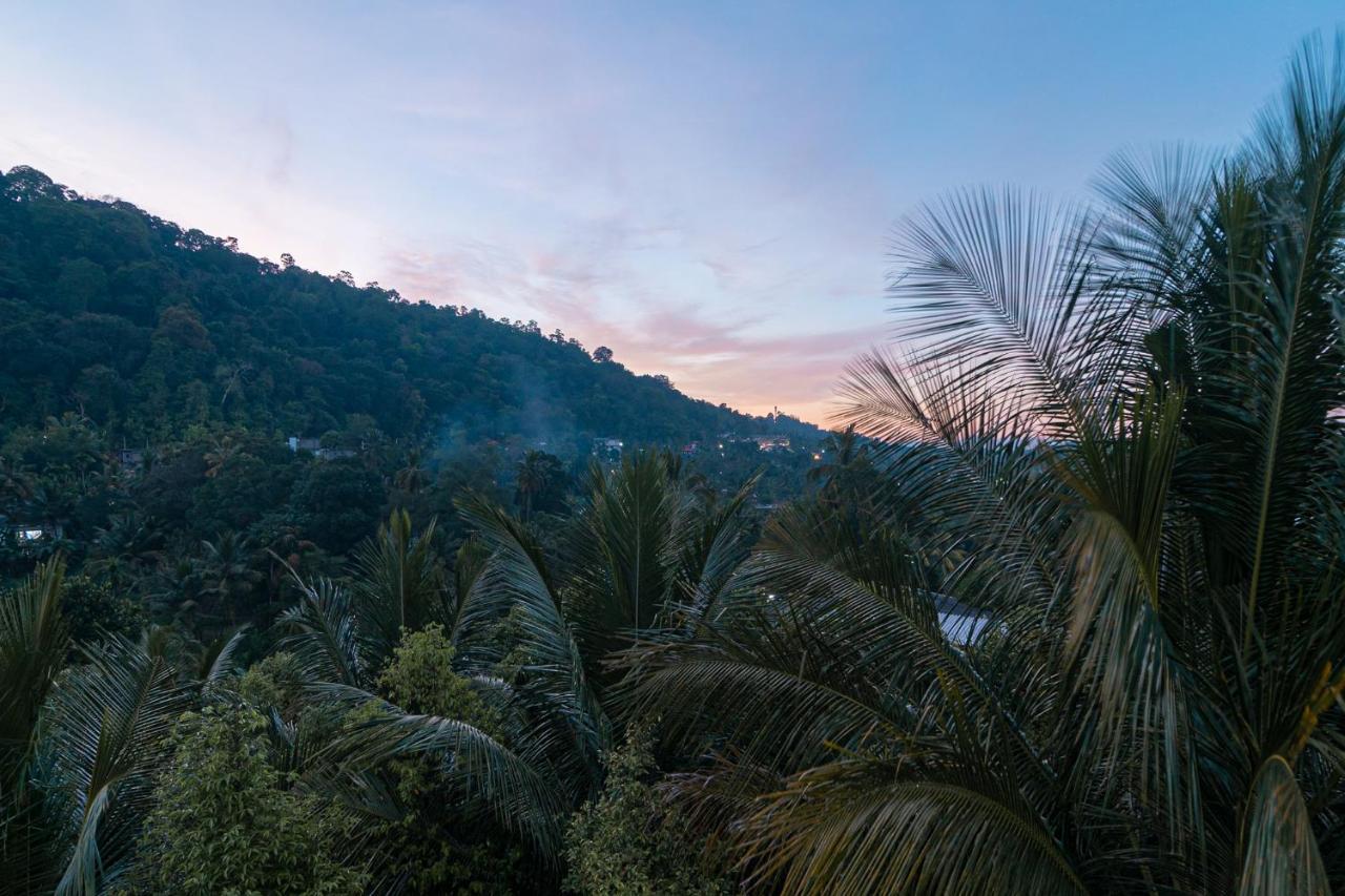 Sun Set Forest Kandy