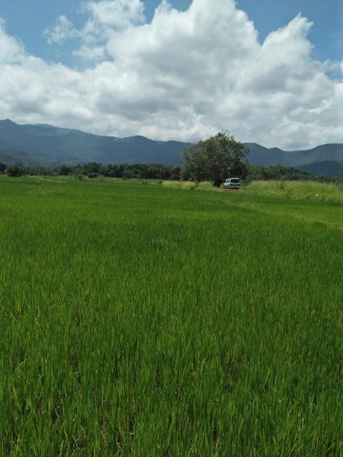 Old Town Homestay