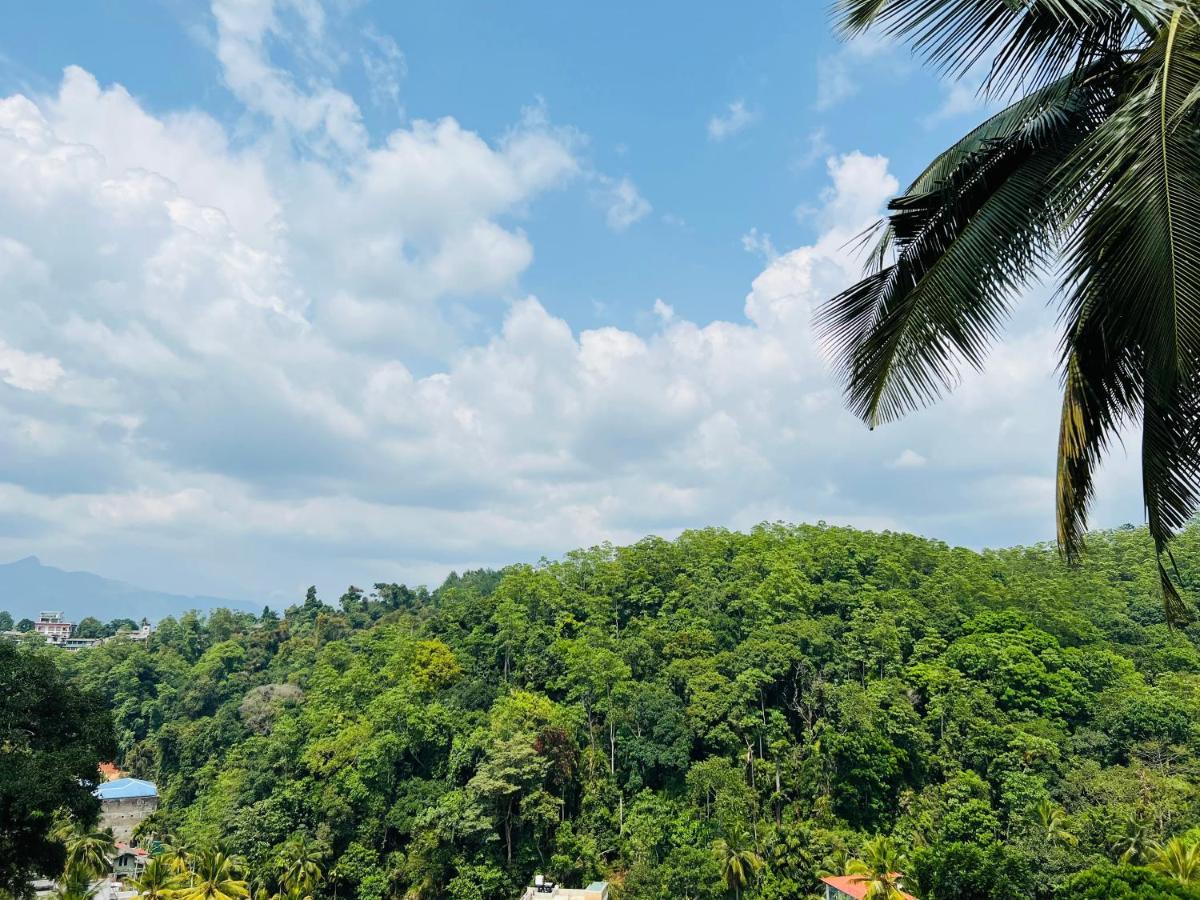 Homestay Hansons