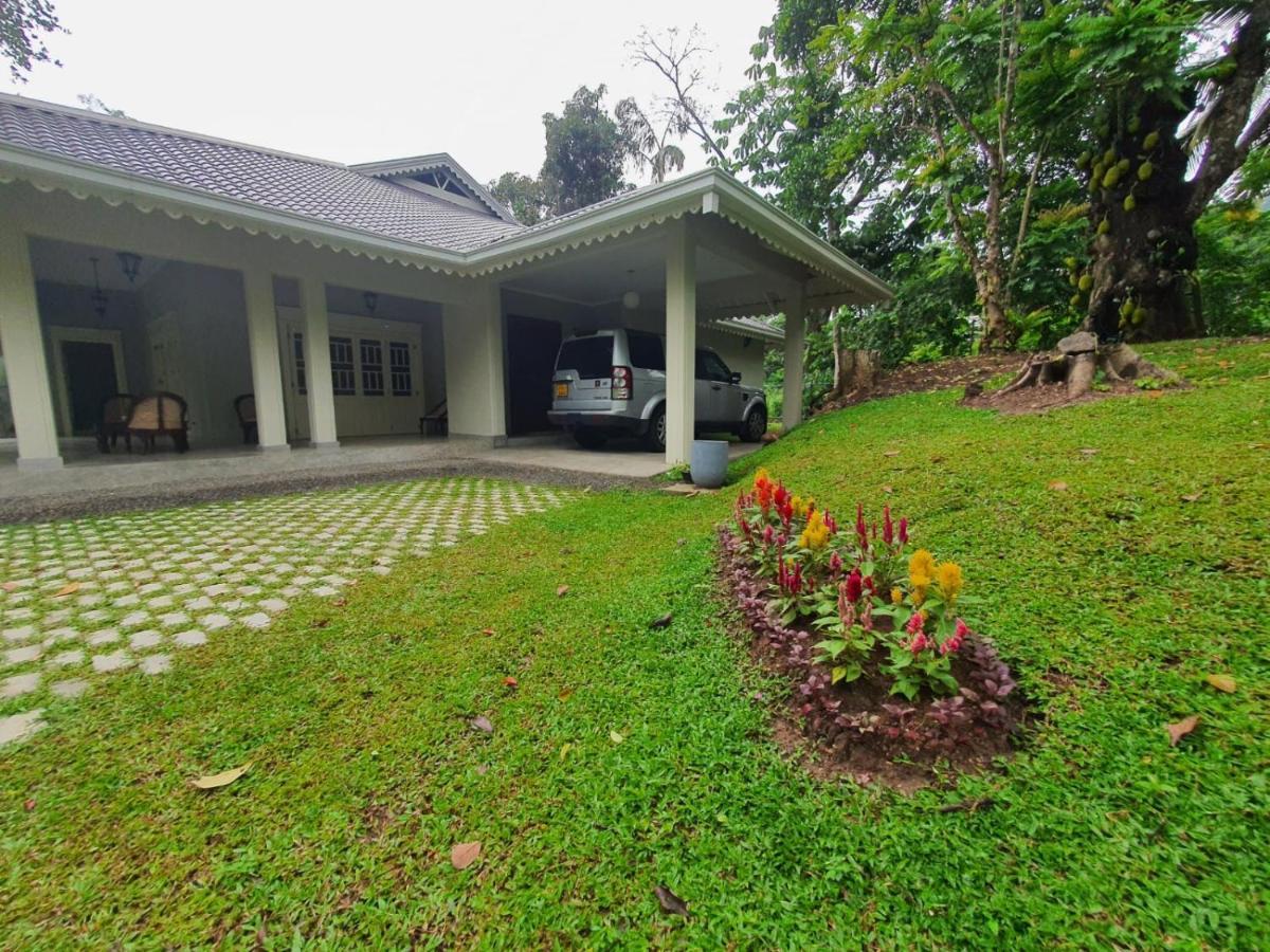 Lewella House Homestay *