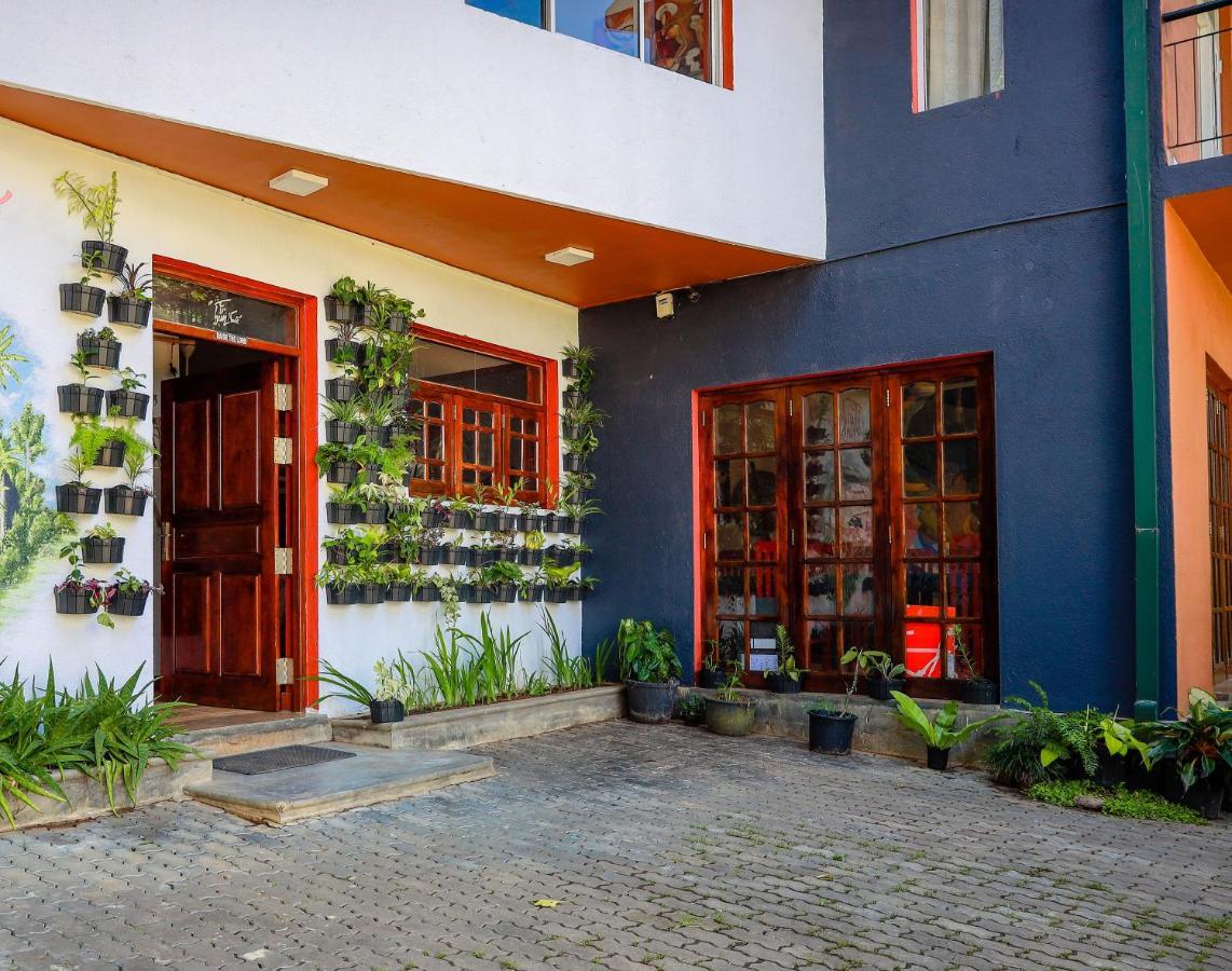 Funk Bunk - Mount View Hostel *
