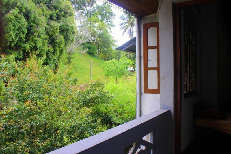Spice & Herb & Food Kandy