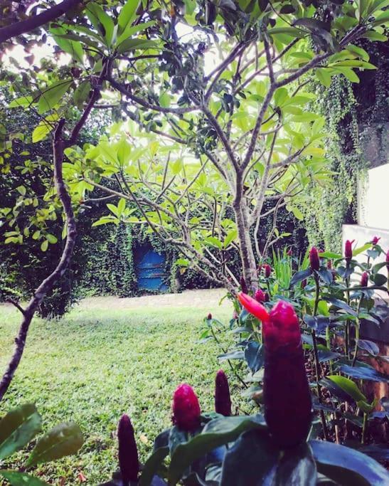 Goddess Bed & Breakfast *