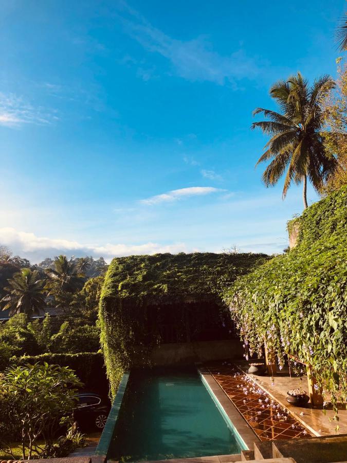 Goddess Bed & Breakfast Kandy