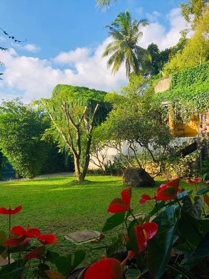 Bed & Breakfast Goddess Kandy