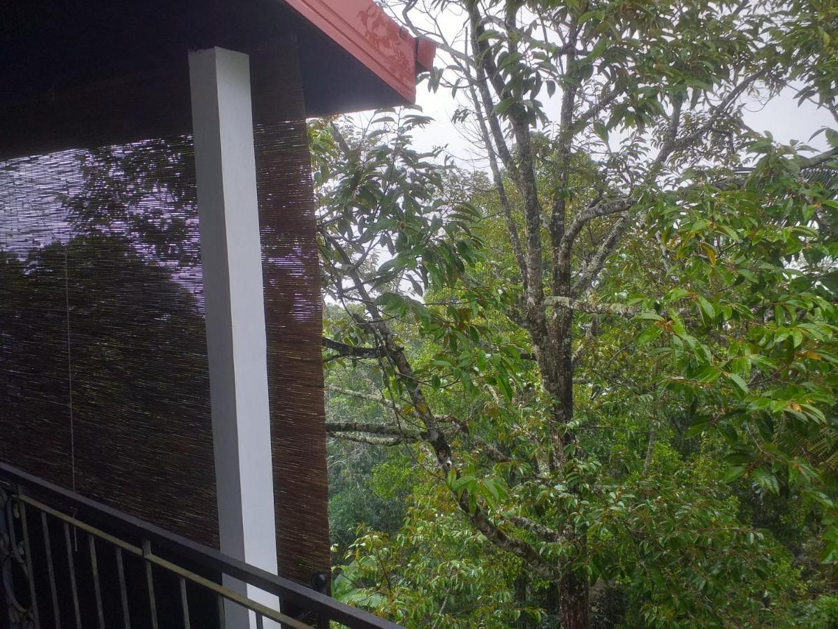 95 Rangala Guest house Kandy