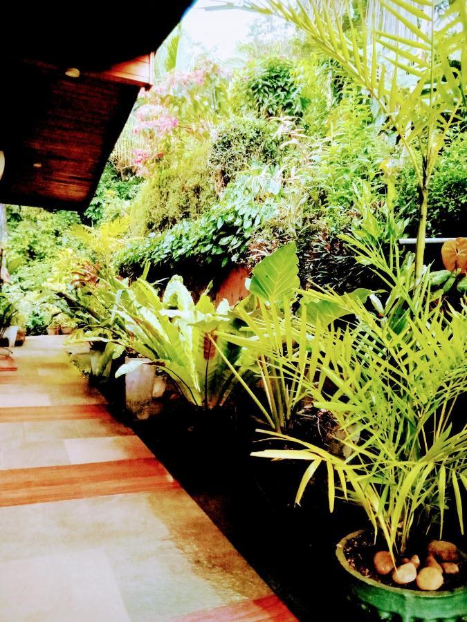 Guest house The Tenthola 3*