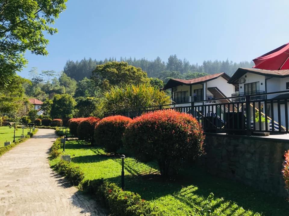 Okwin Resort 3*