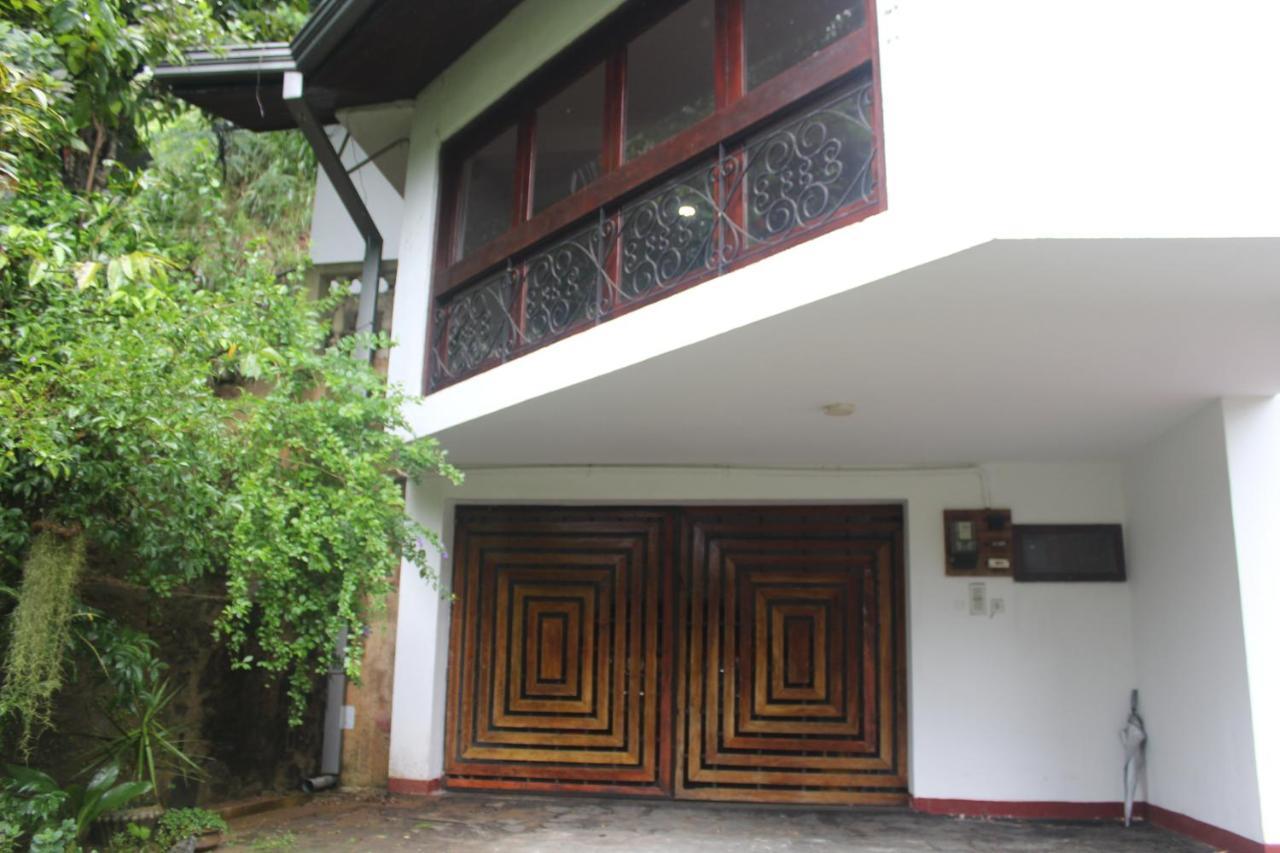 Lazy Bear In Hostel Kandy