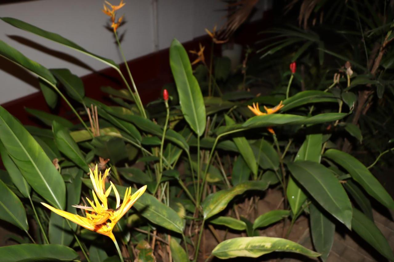 Homestay Colonial Kandy