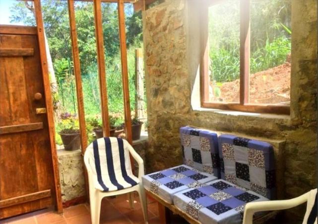 Homestay Bird Wood