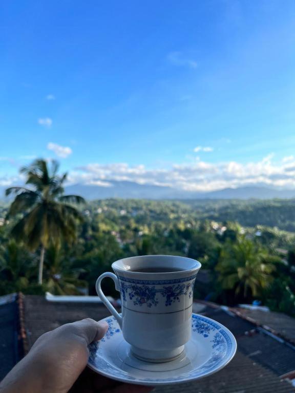 Dreamscape Kandy