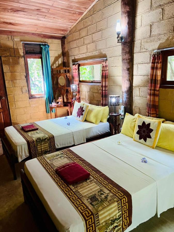 Eco Retreat Guest house