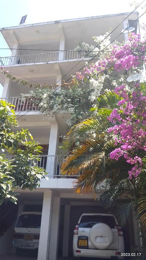Old Town Homestay *