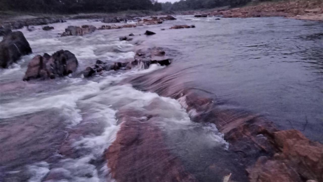 River Garden