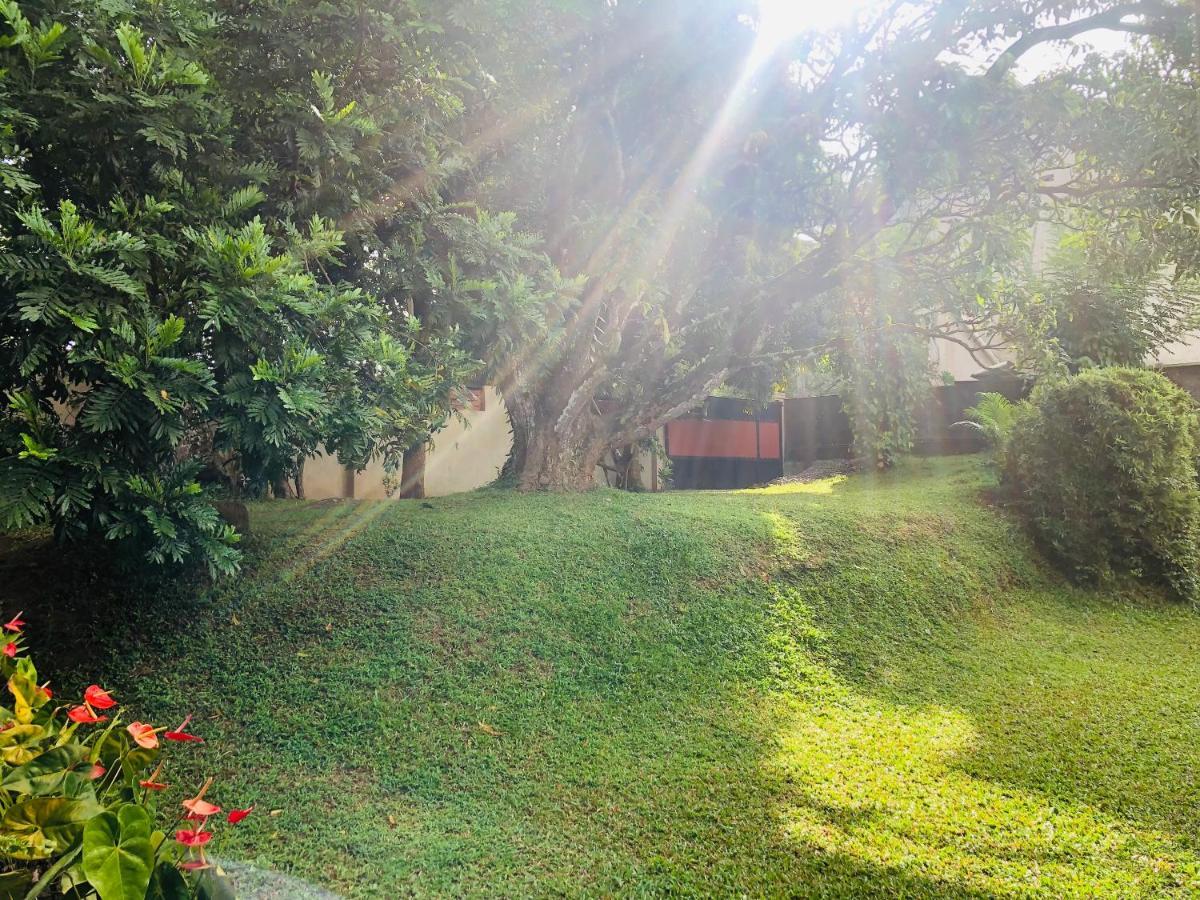 47 Alfred House - Free Pickup From Bed & Breakfast Kandy