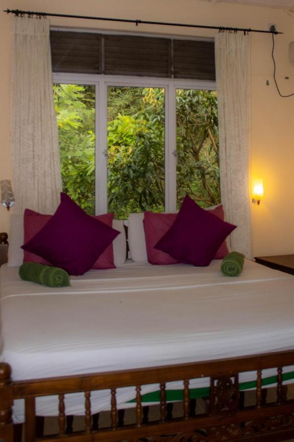 Guest house Eco Retreat