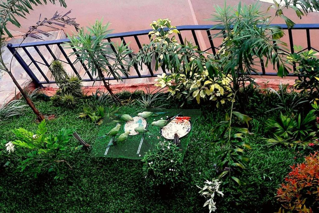 Saru - Upto 6 Guests * Kandy