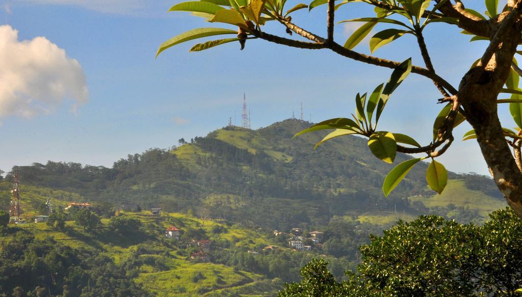 View * Kandy