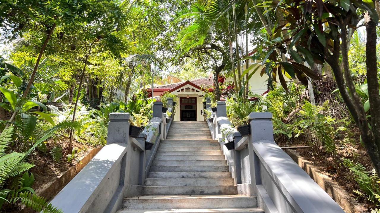 Homestay Colonial *