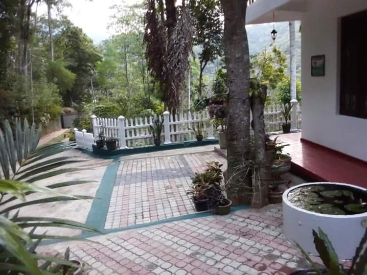 Bed & Breakfast 25 Homestay *